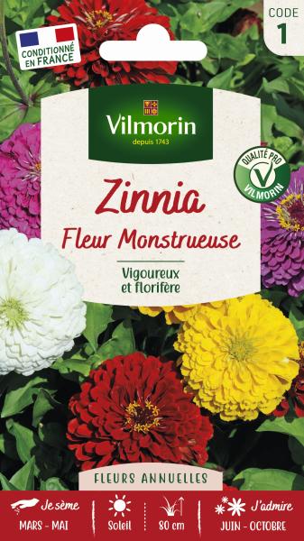 Fleurs - Zinnia à Fleur Monstrueuse  - face recto
